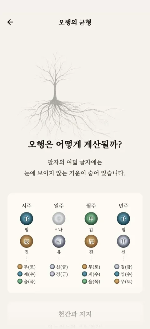 오행 균형 화면